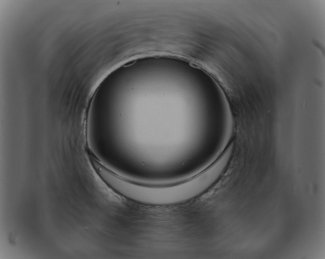 X0000091861524200709191106