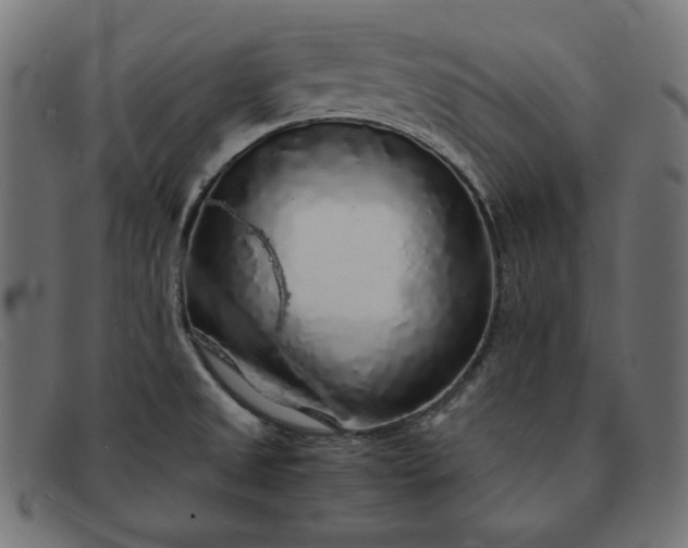 X0000091861525200709191106