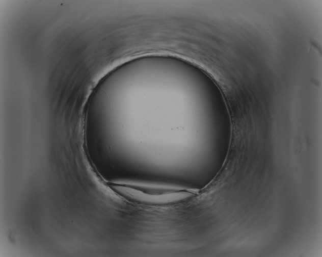 X0000091861526200709191106