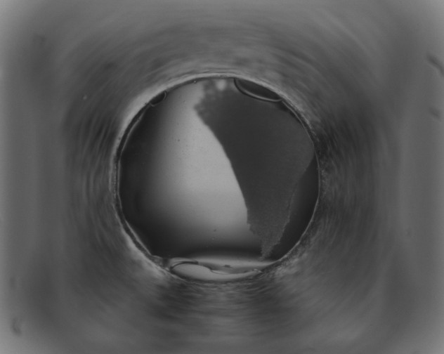 X0000091861527200709191106