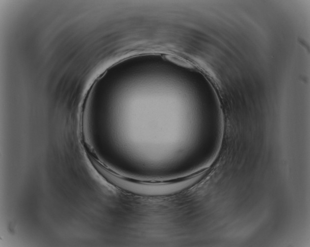 X0000091861528200709191106