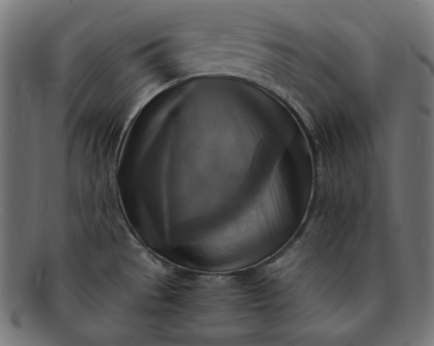 X0000091861529200709191106