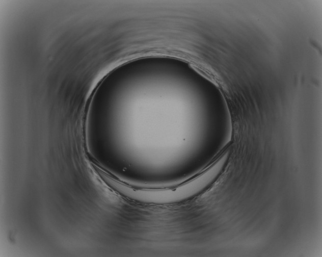 X0000091861530200709191106