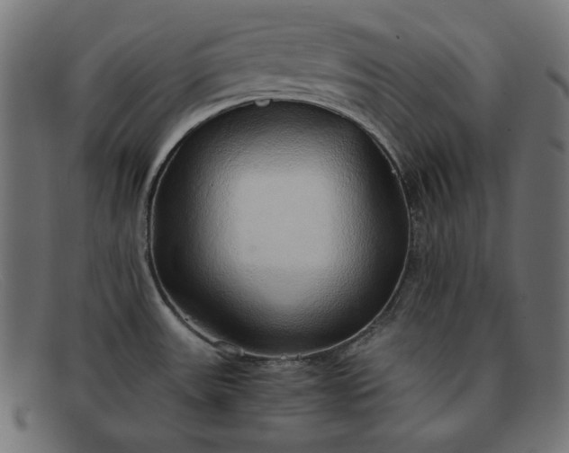 X0000091861531200709191106