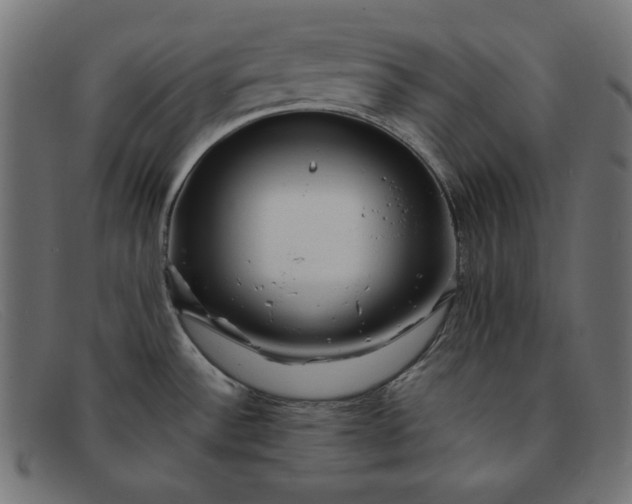 X0000091861532200709191106