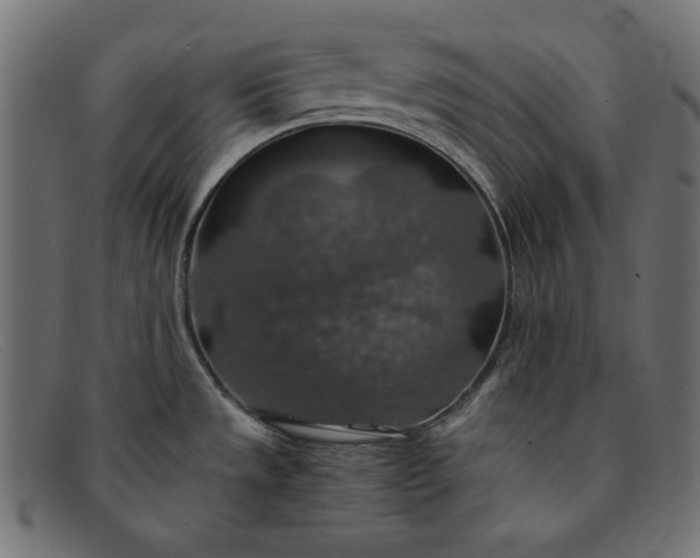 X0000091861533200709191106