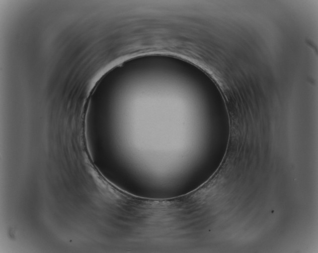 X0000091861534200709191106