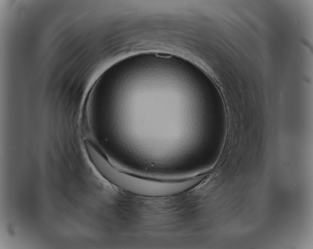 X0000091861536200709191106