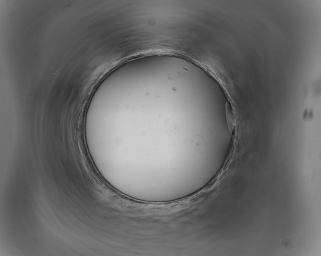 X0000091860001200709261304