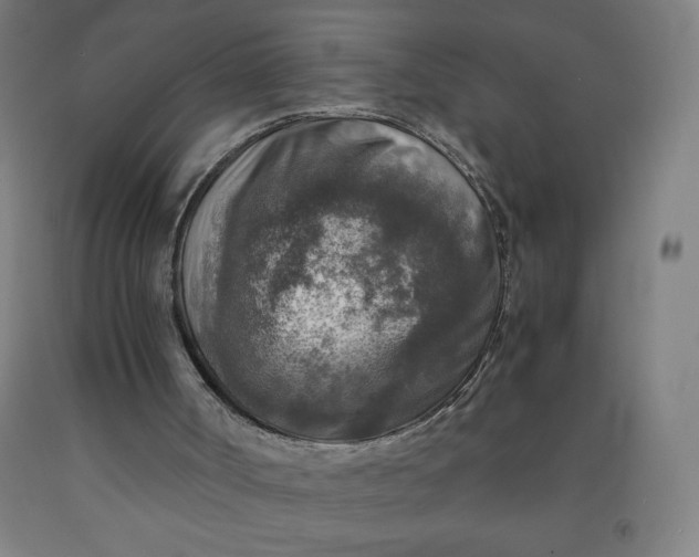 X0000091860002200709261304