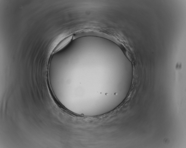 X0000091860003200709261304