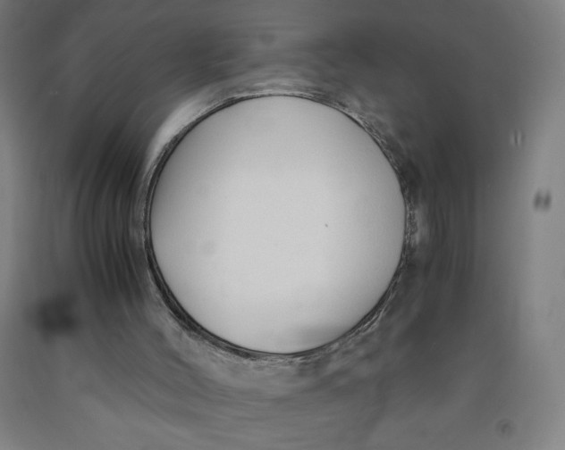 X0000091860004200709261304