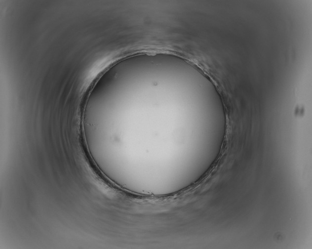 X0000091860005200709261304