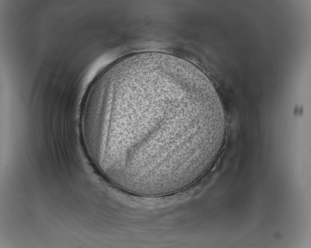 X0000091860006200709261304