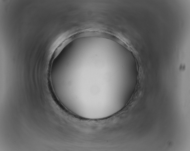 X0000091860007200709261304