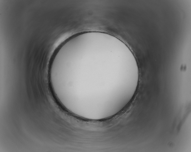 X0000091860008200709261304