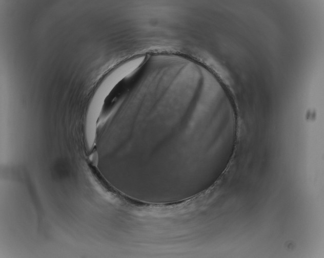 X0000091860009200709261304