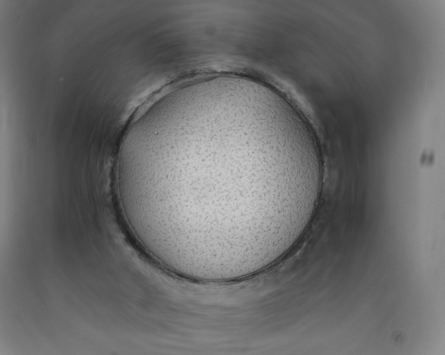 X0000091860010200709261304