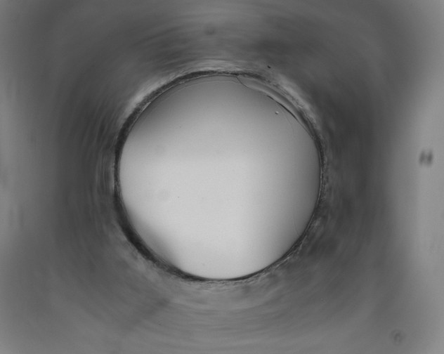 X0000091860011200709261304