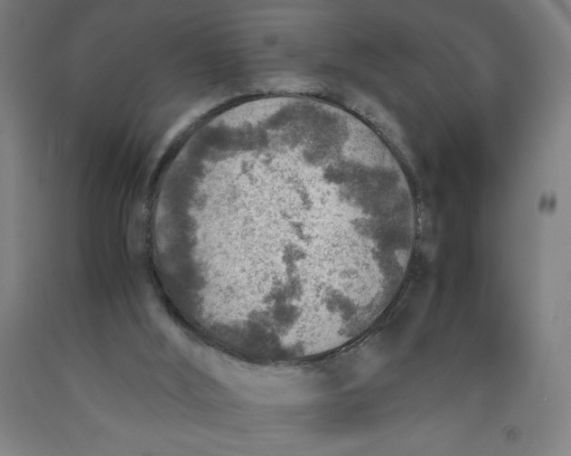 X0000091860012200709261304