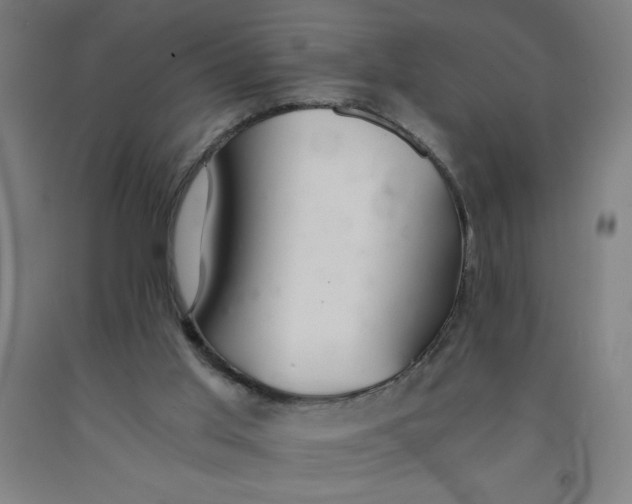 X0000091860013200709261304