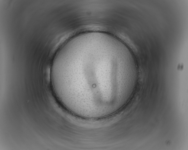 X0000091860014200709261304