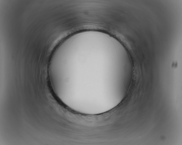 X0000091860015200709261304