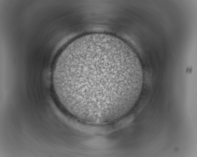 X0000091860016200709261304