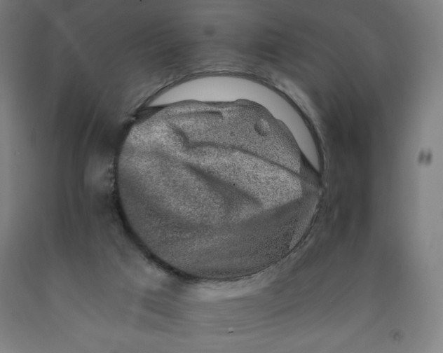 X0000091860017200709261304