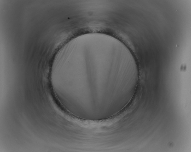 X0000091860018200709261304