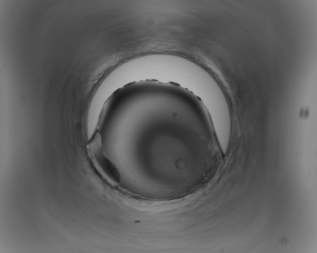 X0000091860019200709261304