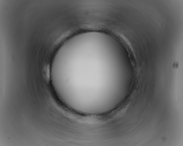 X0000091860020200709261304