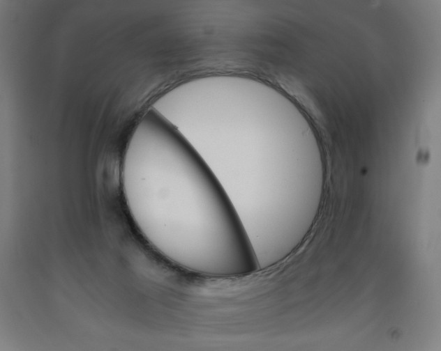 X0000091860021200709261304