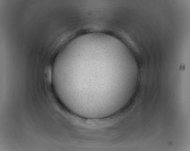 X0000091860022200709261304