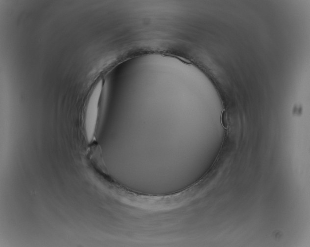 X0000091860023200709261304