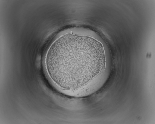 X0000091860024200709261304