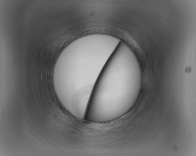 X0000091860025200709261304