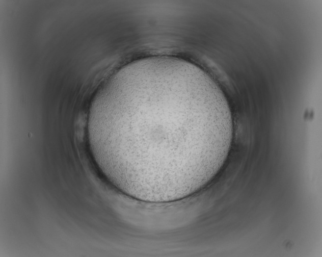 X0000091860026200709261304