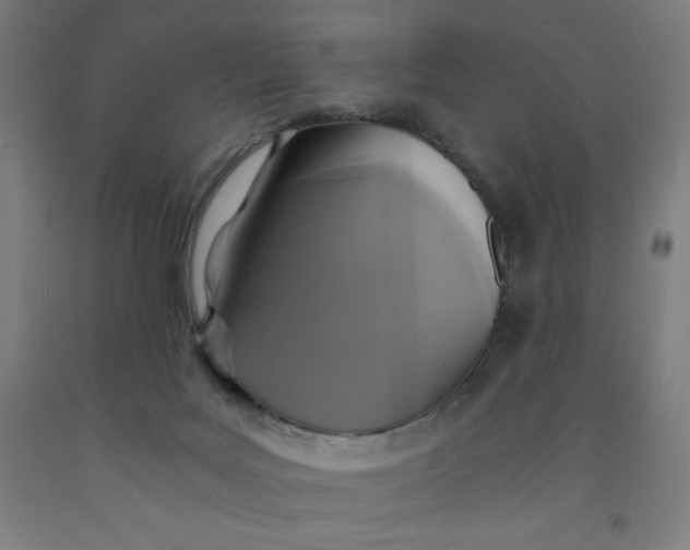 X0000091860027200709261304