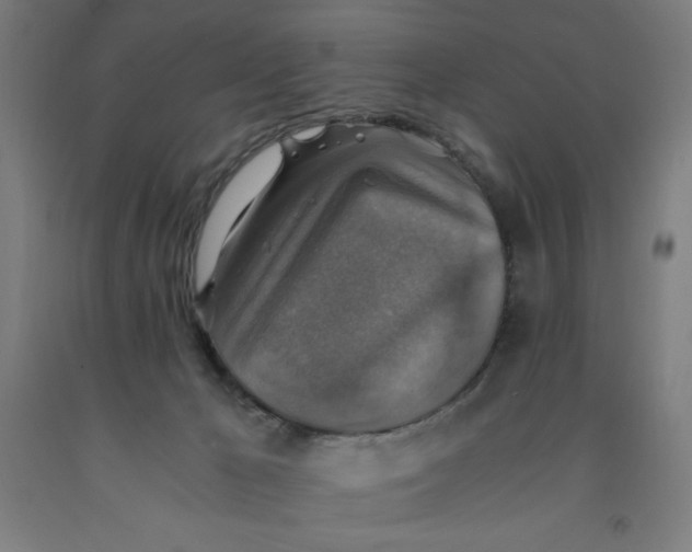 X0000091860029200709261304