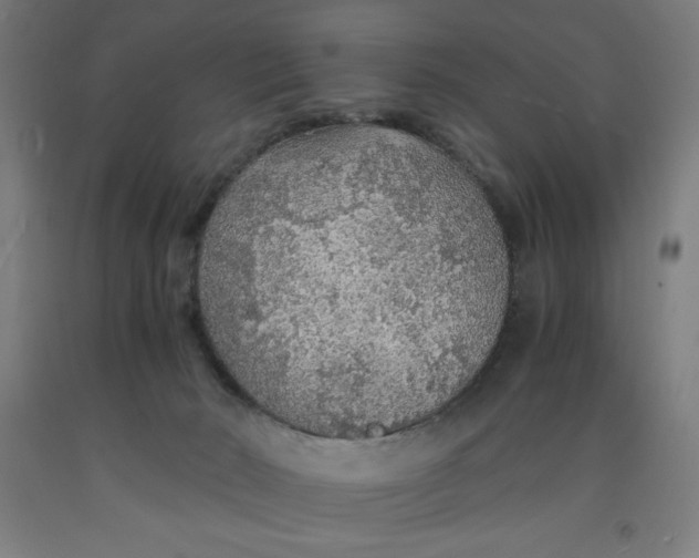 X0000091860030200709261304