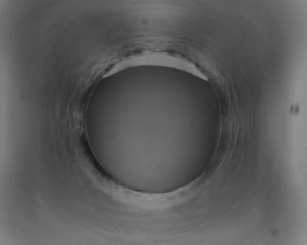 X0000091860031200709261304