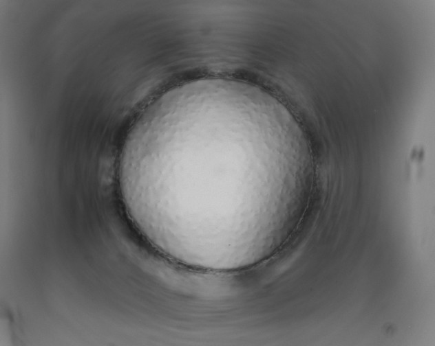 X0000091860032200709261304