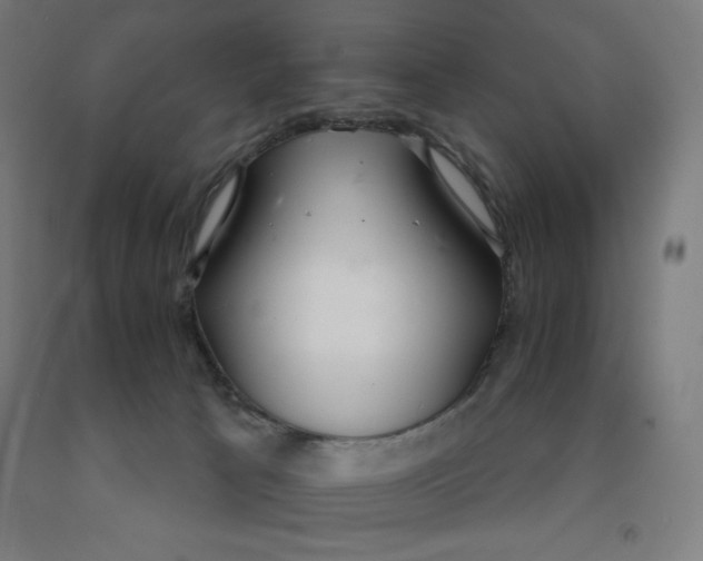 X0000091860033200709261304