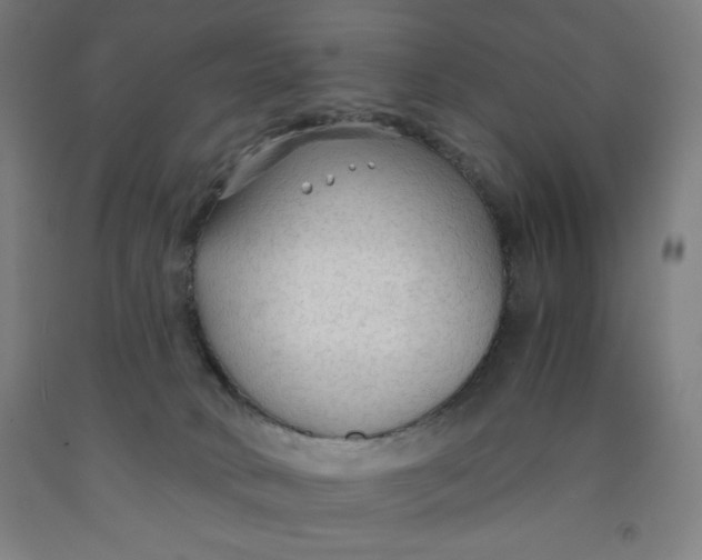 X0000091860034200709261304