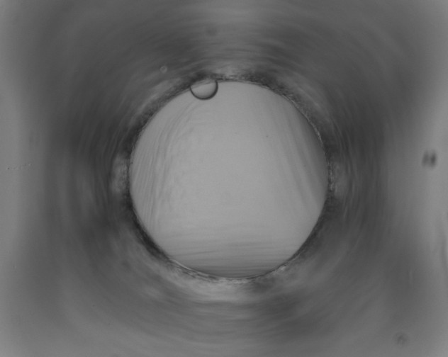 X0000091860036200709261304