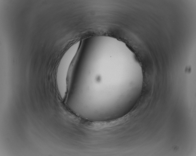 X0000091860037200709261304