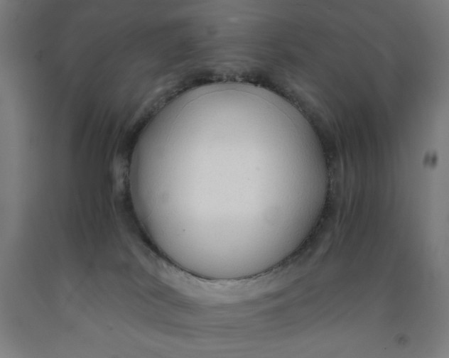 X0000091860038200709261303