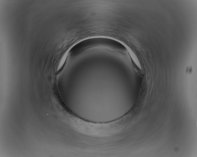 X0000091860039200709261303