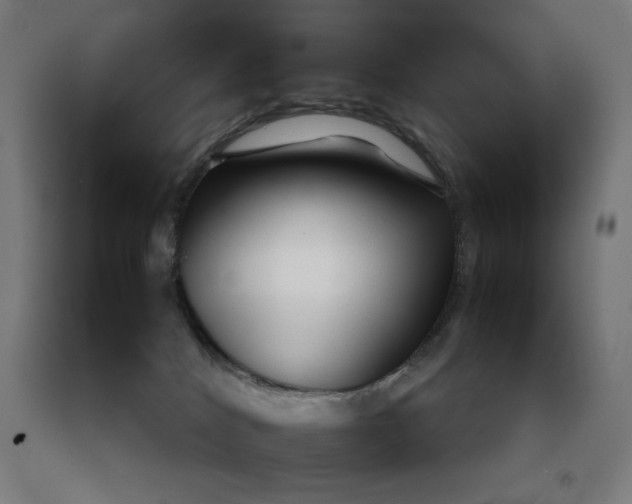 X0000091860040200709261303